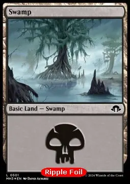 Swamp