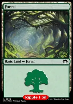 Forest