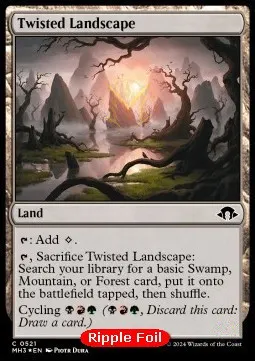 Twisted Landscape