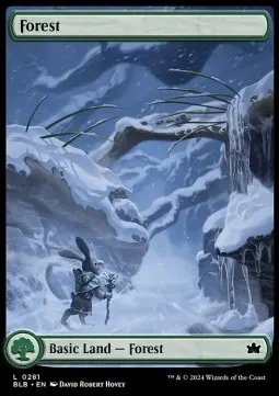 Forest