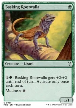 Basking Rootwalla