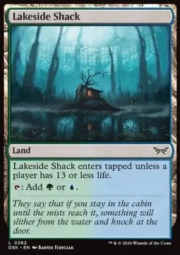Lakeside Shack