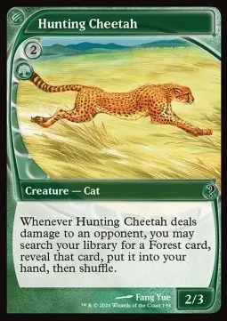 Hunting Cheetah