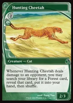 Hunting Cheetah
