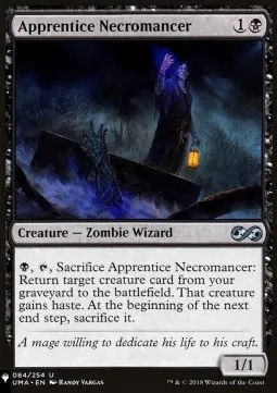 Apprentice Necromancer