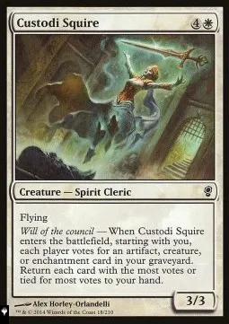 Custodi Squire