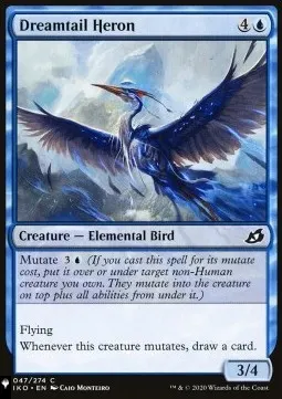 Dreamtail Heron