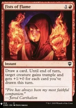 Fists of Flame