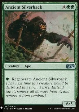 Ancient Silverback