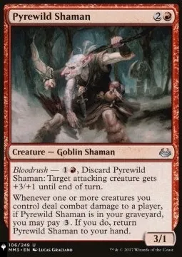 Pyrewild Shaman