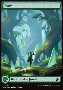 Forest