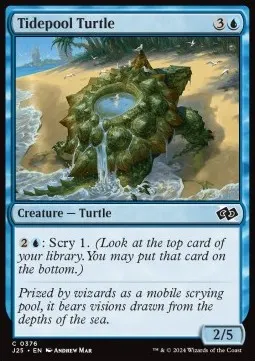 Tidepool Turtle