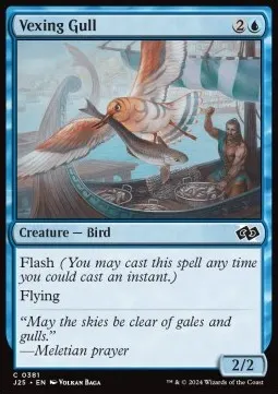 Vexing Gull