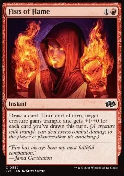 Fists of Flame