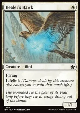 Healer's Hawk