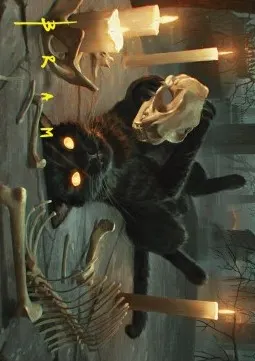 Art Series: Nine-Lives Familiar