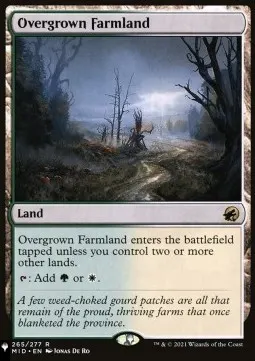 Overgrown Farmland