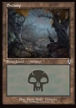 Swamp