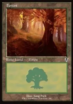 Forest