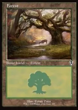 Forest