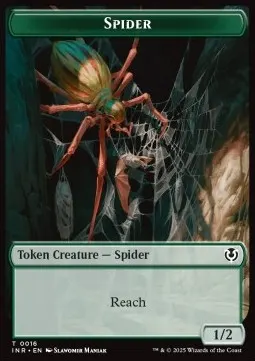 Insect // Spider