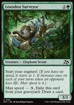 Loxodon Surveyor