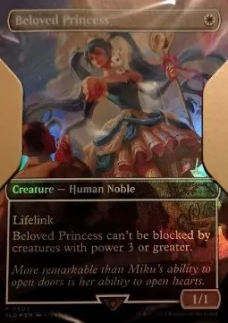 Beloved Princess
