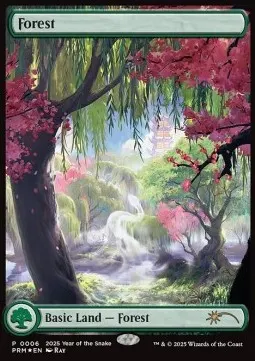 Forest