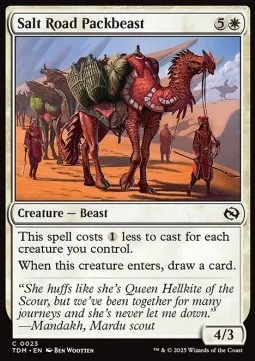 Salt Road Packbeast