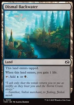 Dismal Backwater