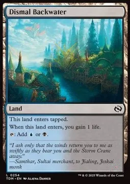 Dismal Backwater