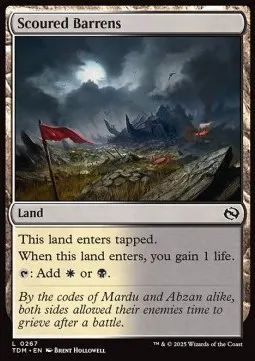 Scoured Barrens