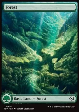 Forest