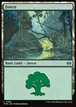 Forest