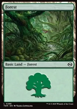 Forest