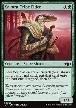 Sakura-Tribe Elder