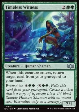 Timeless Witness