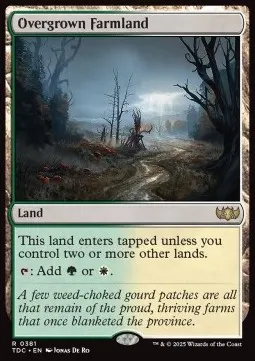 Overgrown Farmland