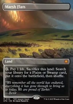 Marsh Flats