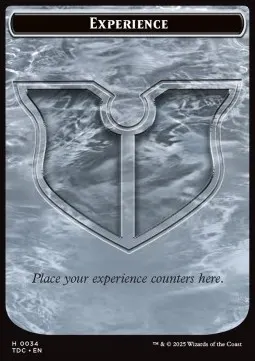 Experience // Treasure