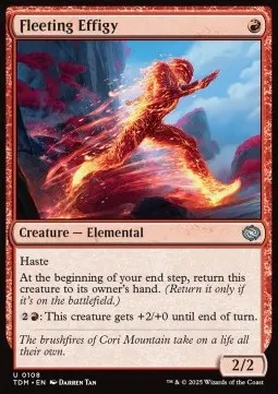 Fleeting Effigy