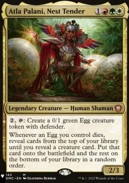 Atla Palani, Nest Tender