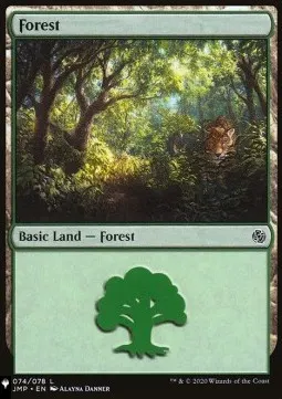 Forest