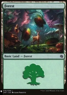 Forest