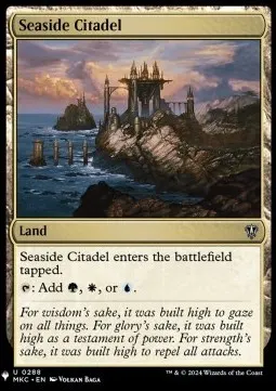 Seaside Citadel