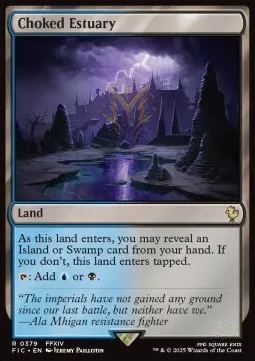 Choked Estuary