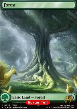 Forest