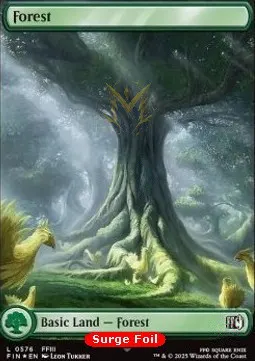 Forest