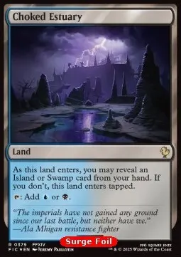 Choked Estuary