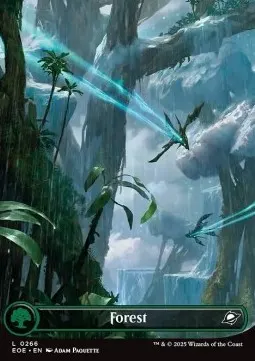 Forest